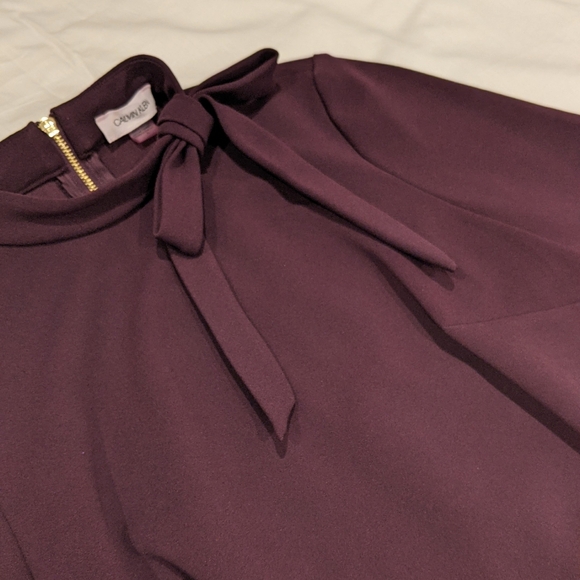 Calvin Klein Plum Sheath Dress, Size 4 - Picture 4 of 4